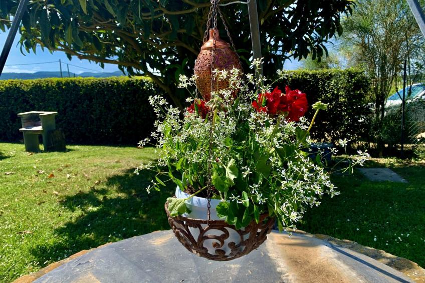 'Nido' mit Pool - foto 49