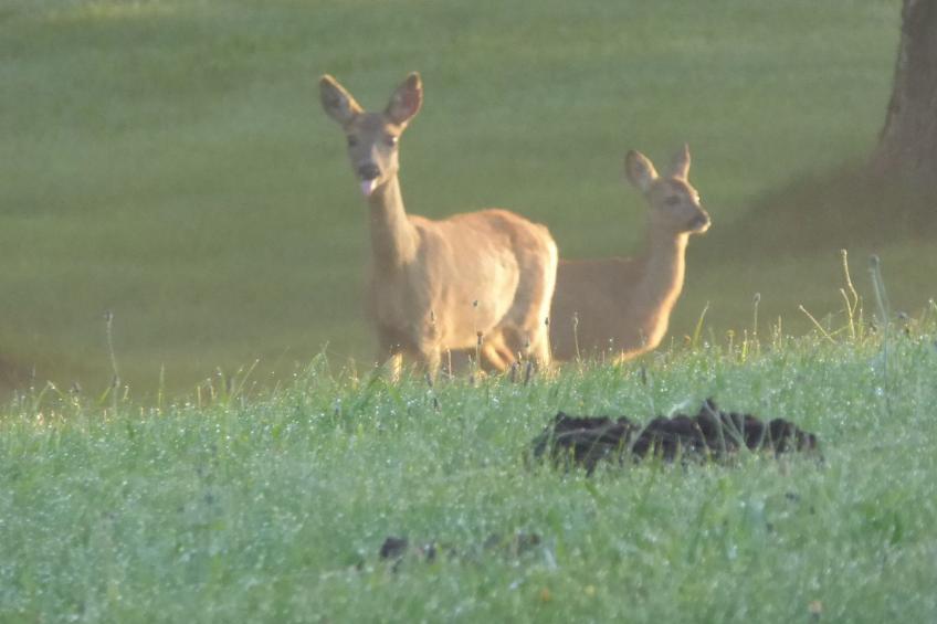 Galerie Mitte - foto 42