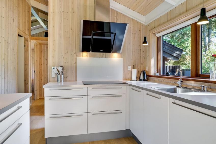 "Kali" - 900m to the inlet in The Liim Fiord - foto 25