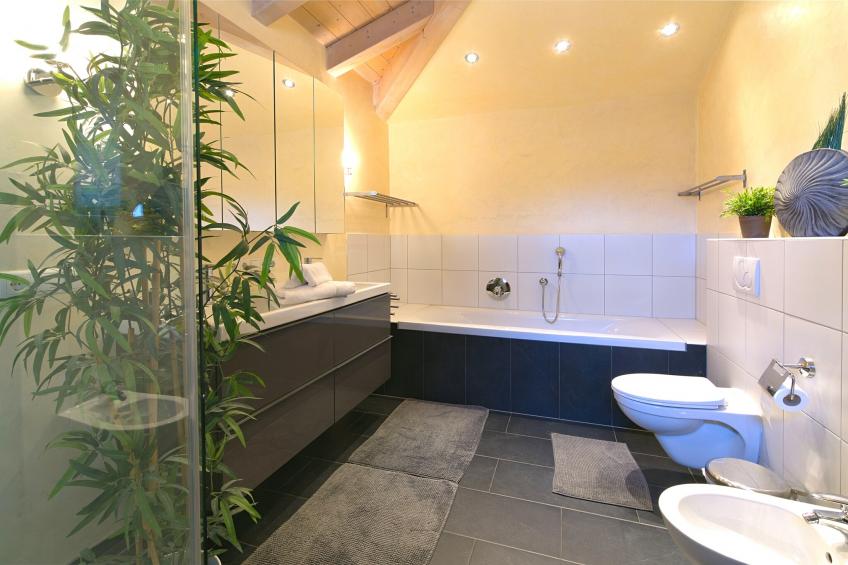 Penthouse AA - foto 9