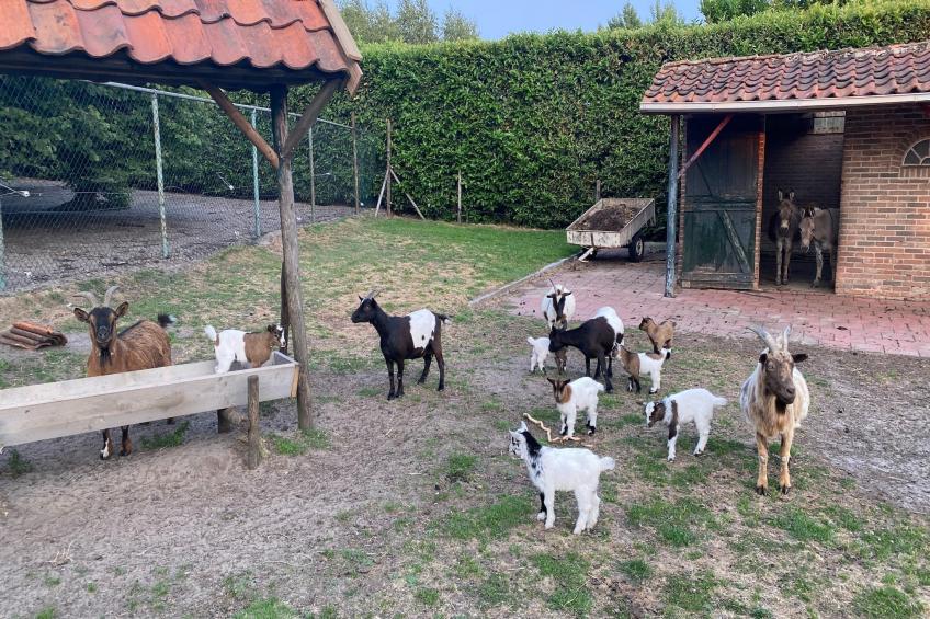 De Herberg - foto 28