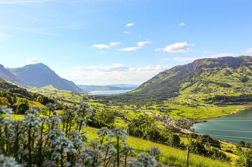 Biohof Langberg - foto 2