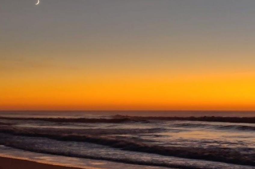 Villa Cocoon Contis-plage 1 chambre - foto 28