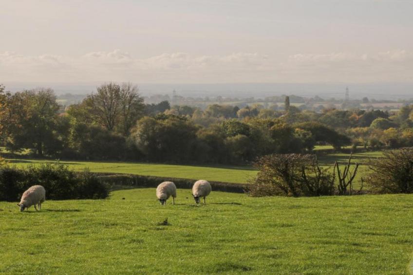 Kilburn Hall Apt - foto 27