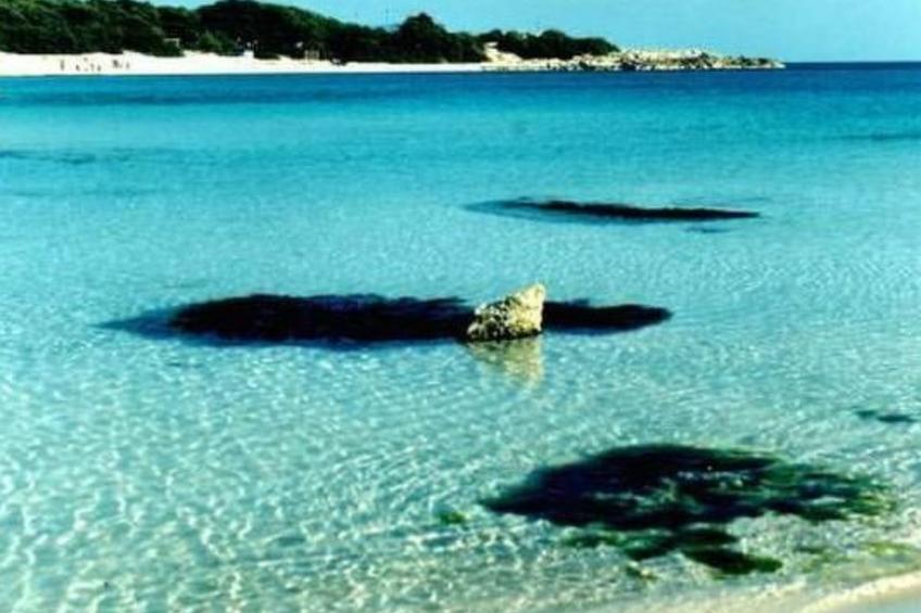 in Marina di Pulsano - foto 6