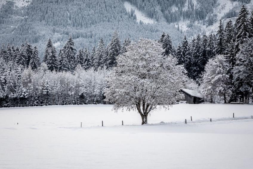 Hanserbauer - foto 39