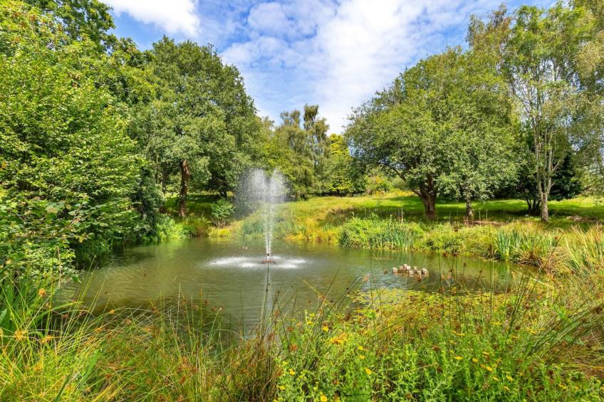 Sandhill Cottage with Hot Tub - foto 3