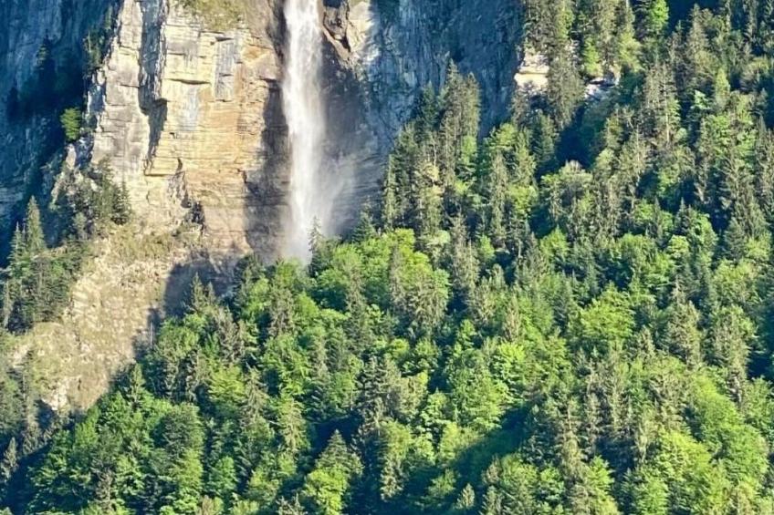 Aareschlucht - Erholung ab 2 Nächten - foto 39