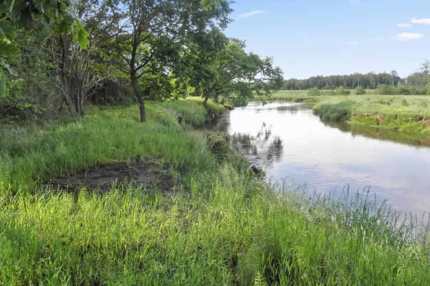 "Beatha" - 25km to the inlet in Western Jutland - foto 8