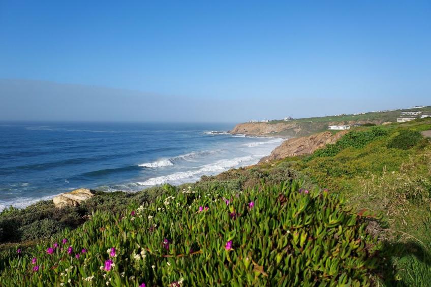 The BlueHouse - foto 45