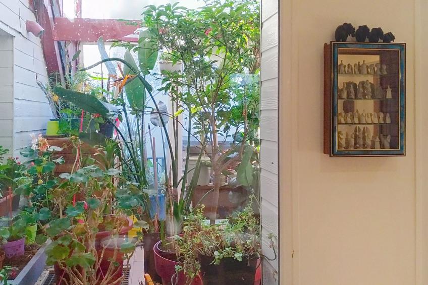 Le Paradis des Fleurs - foto 16