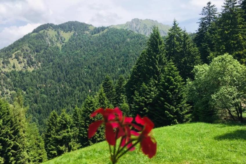 mit Sauna in Pieve Di Bono - foto 28