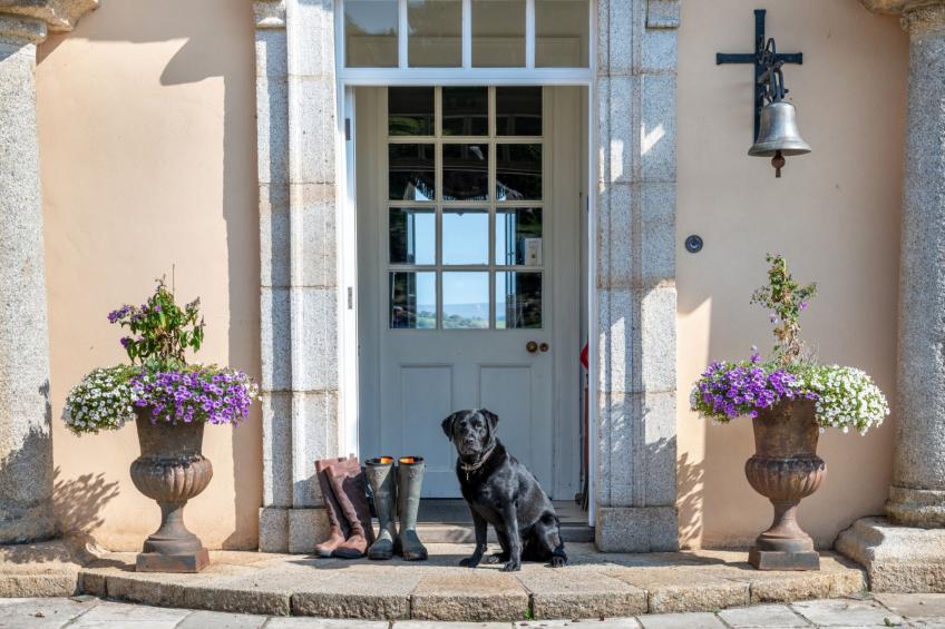 Historic Castle on River Tamar - foto 16