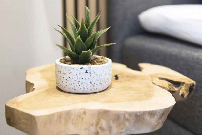 Apartment, Küche, Parkplatz, digitaler Check-in - foto 25