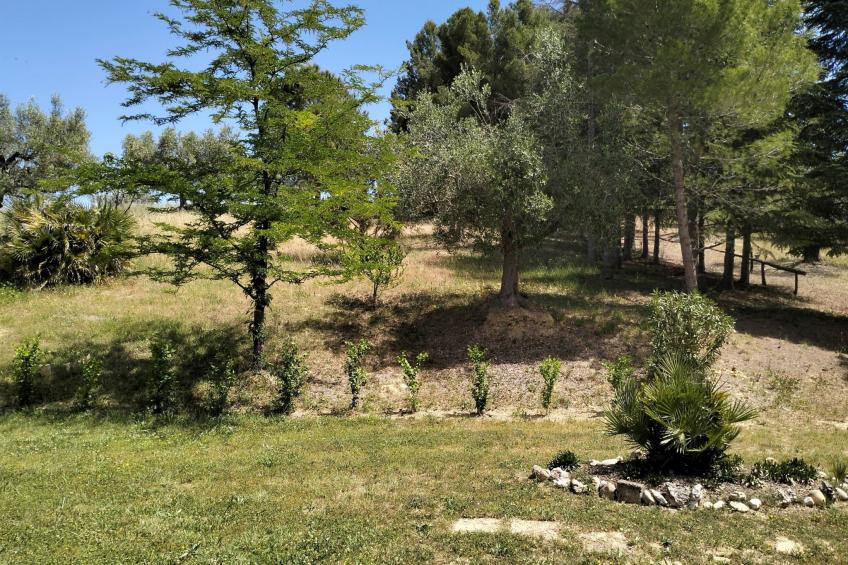 Casolare il Vecchio Forte_10 min. vom Meer entfernt_Cod AA3 - foto 65