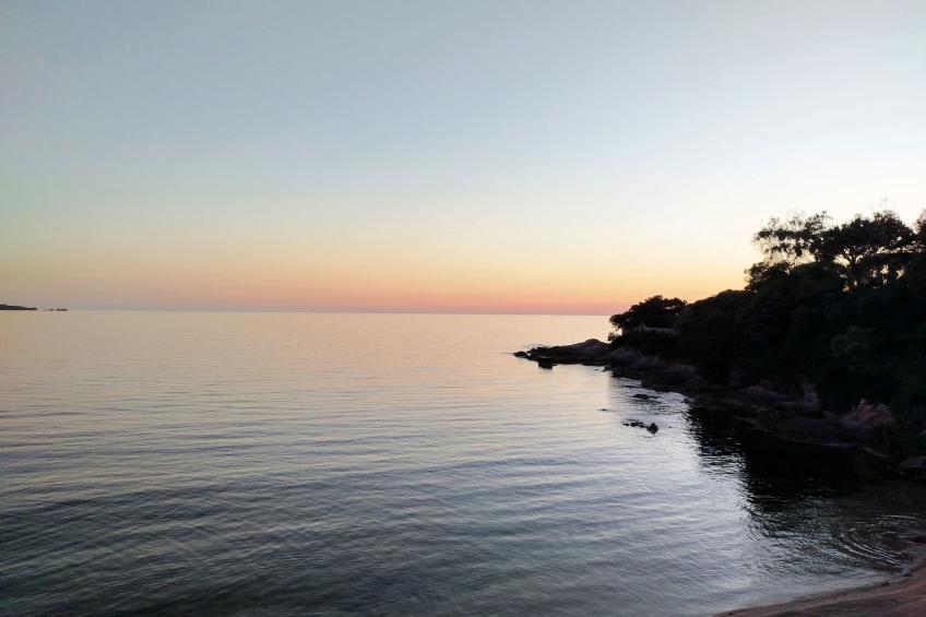 Corse du Sud 10mn von den Stränden entfernt - Olmeto App 4P - foto 26