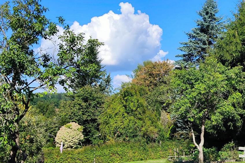 Am Springelbach - foto 18