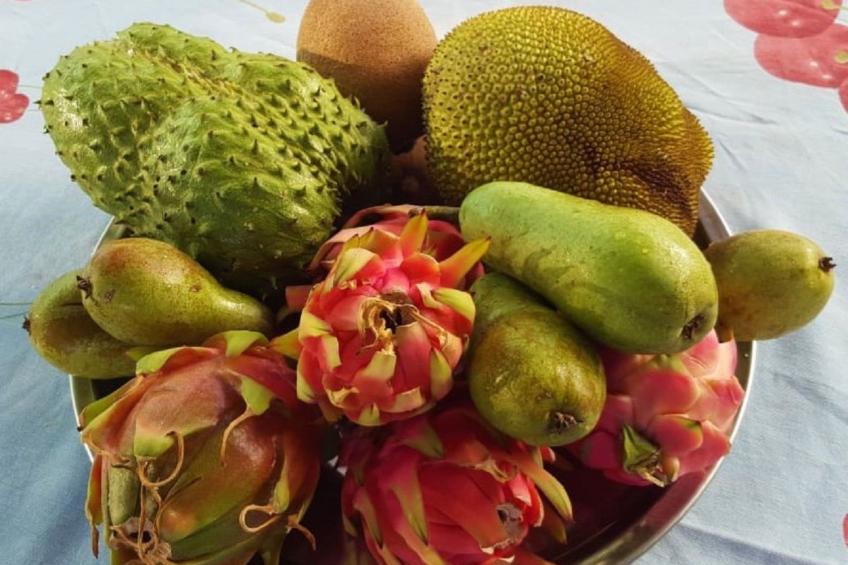 Finca Villa Clara 4 - foto 24