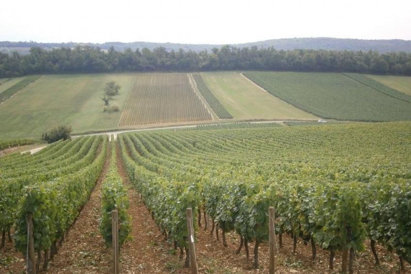 Le gite du randonneur (Das Ferienhaus des Wanderers) - foto 24