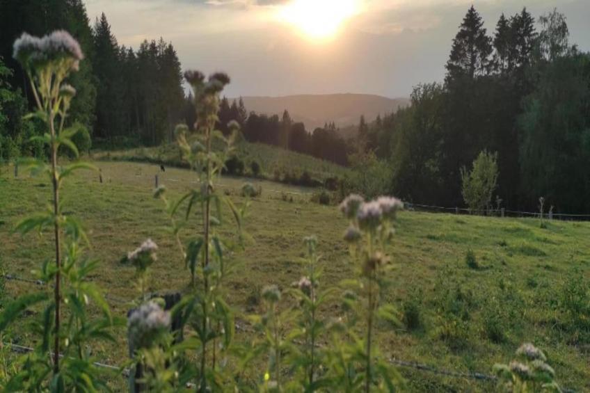 VillaRoche Le Gîte - foto 33