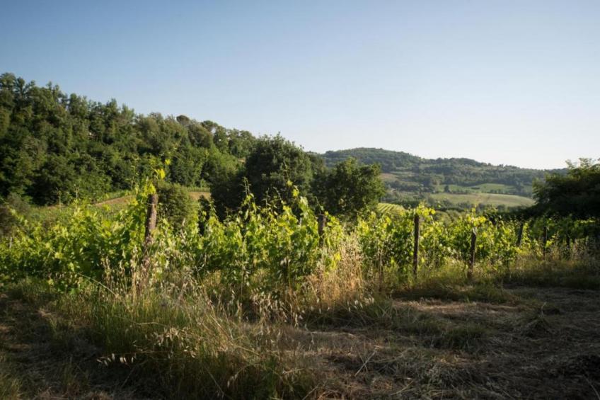 Casalini 2 - foto 28