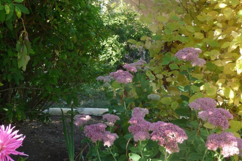 Domaine "Chez Marianne" mit Privatparkplatz - foto 24