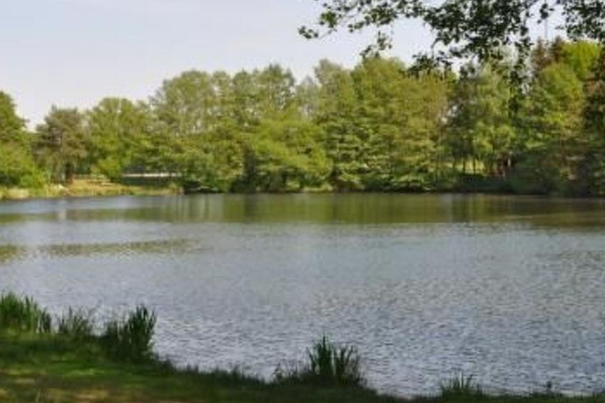 Idylle pur: Ferienhaus am See mit eigenem Garten - foto 10