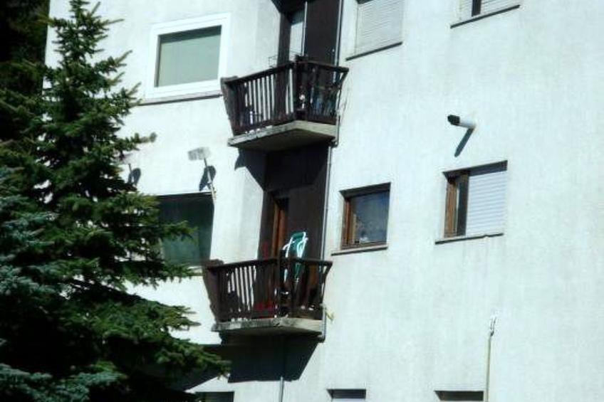 'Il Capriolo - foto 2