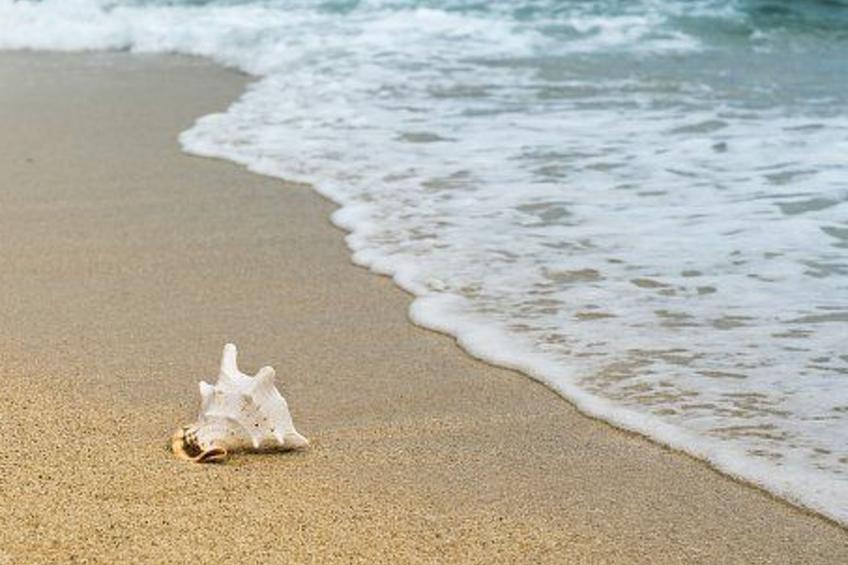Charmante Lösung, Schwimmbad 10 Minuten vom Meer entfernt - foto 35