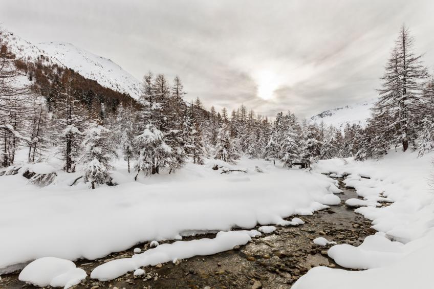 Chalet Charmant - foto 19