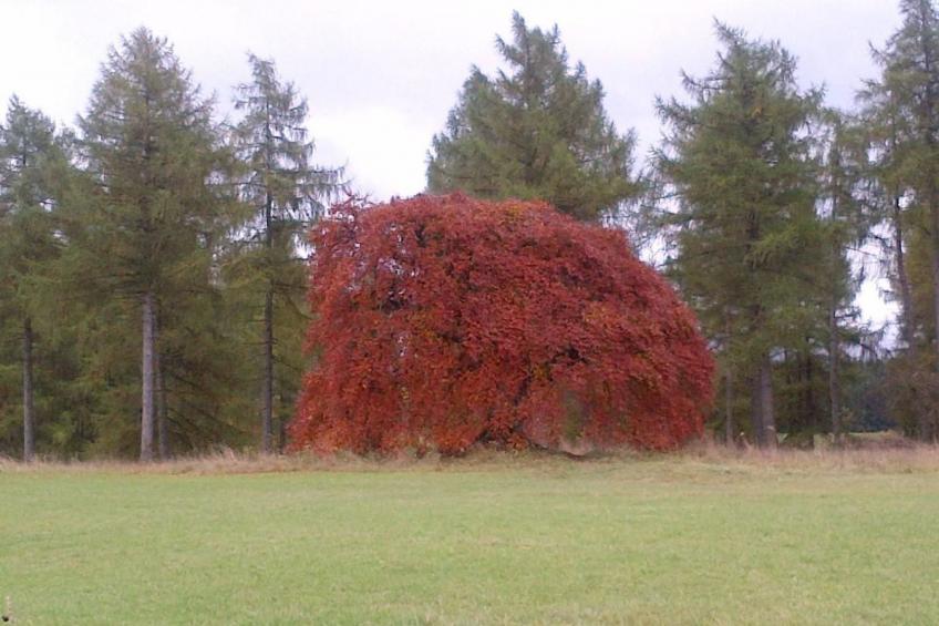 Little Stonehouse - foto 20