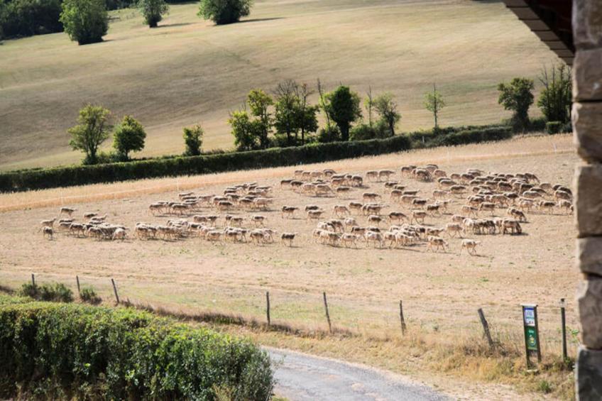 Gîte de France Gîte "la nature" 4 épis - foto 30