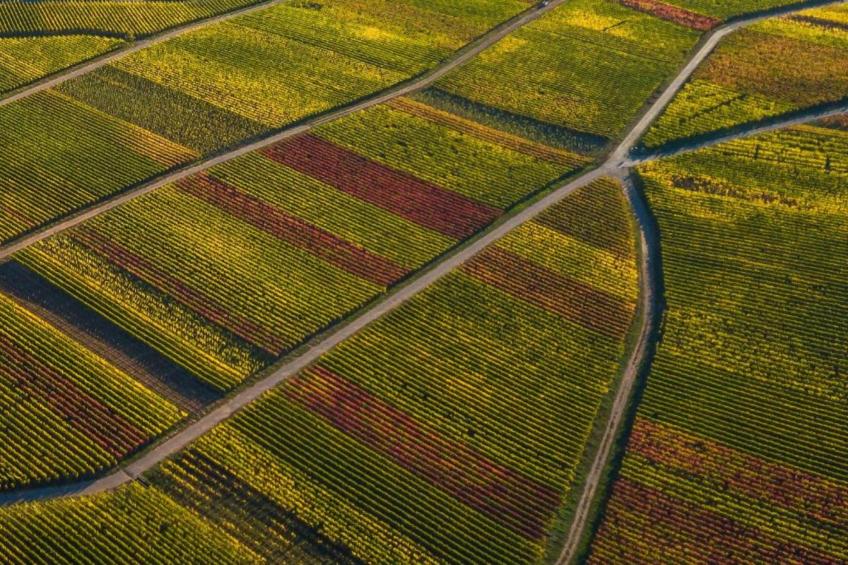 Ferienwohnung Jünkerath - foto 23