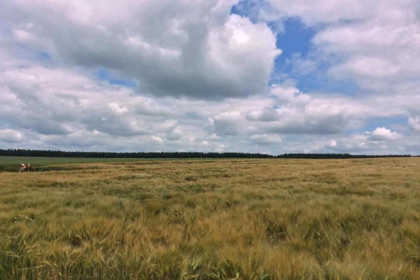 Am Ferienhof - foto 30