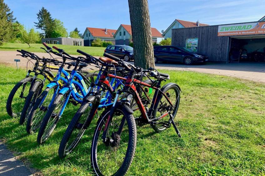 Ferienhaus in Röbel an der Müritz - foto 21