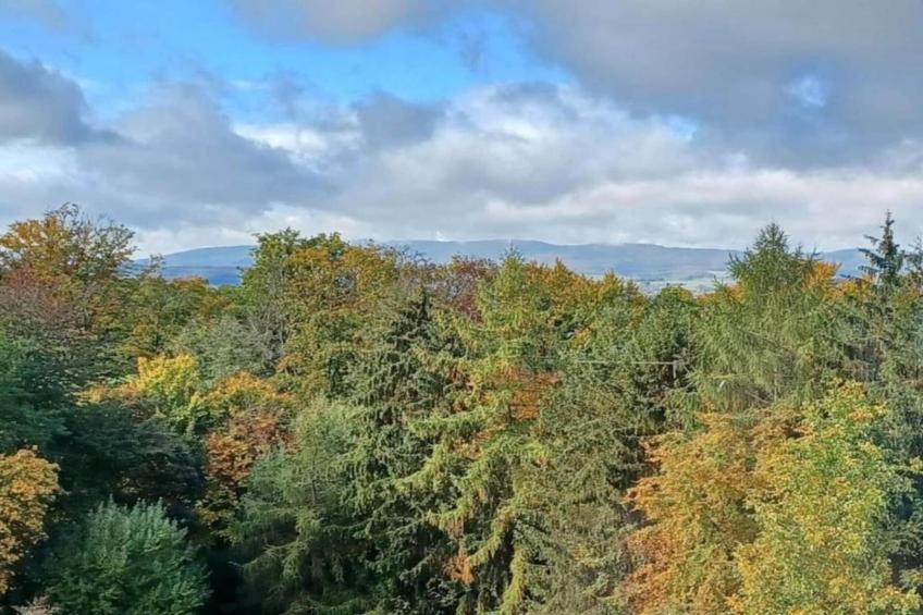 Haus Gisela - foto 23