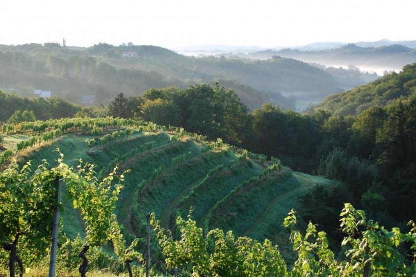 für 8 Personen  + 4 Kinder ca. 200 m² in Ptuj, Untersteiermark (Drau Slowe - foto 4
