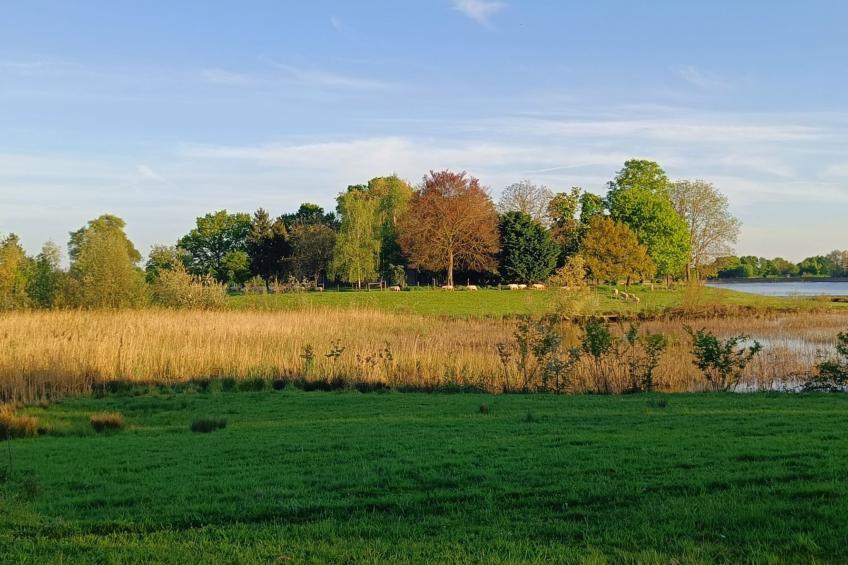 Coproyshof am See - foto 40