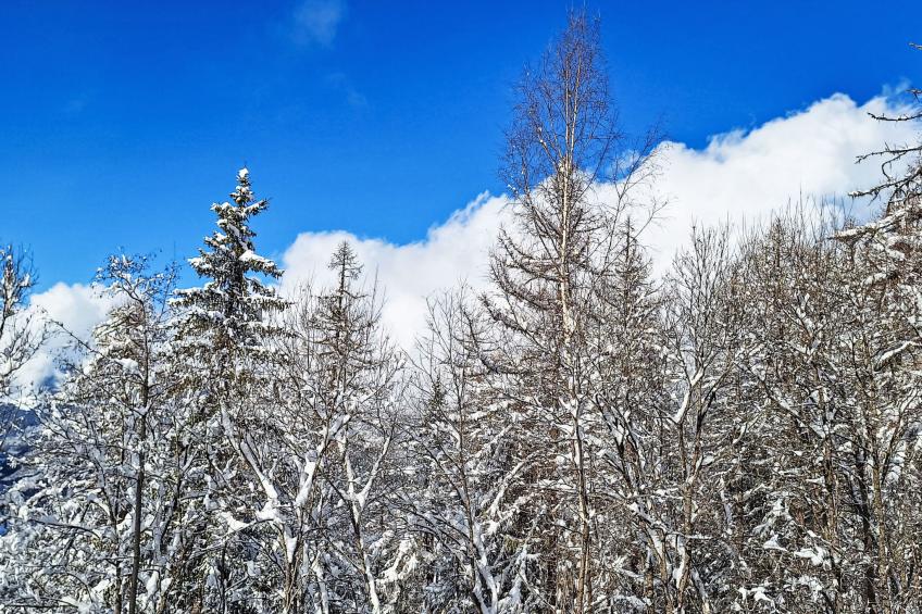 Bellentre Chalet le Pommier 5 - foto 48