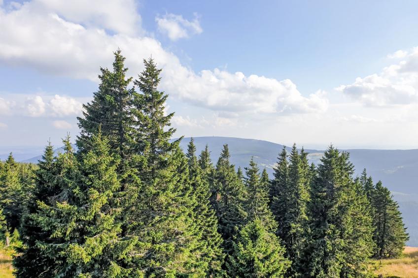 U Švýcarského dvora - foto 32