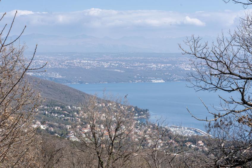 Orbani - foto 2