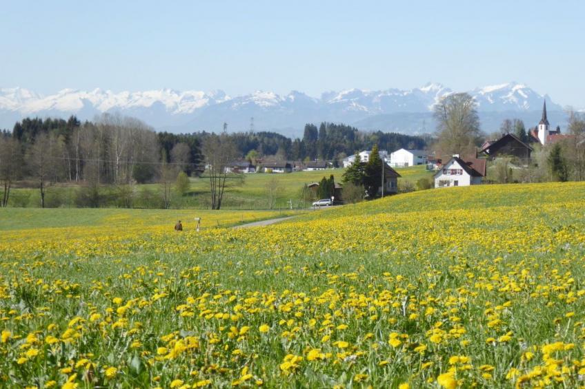 "Säntisblick" - foto 22