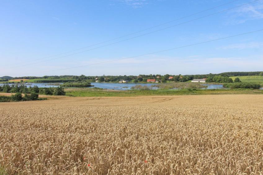 "Kundry" - 800m from the sea in Funen - foto 21