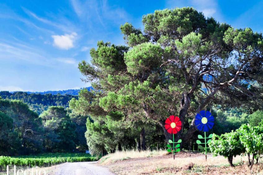 Grande Bastide | Domaine Tour Campanets - foto 73