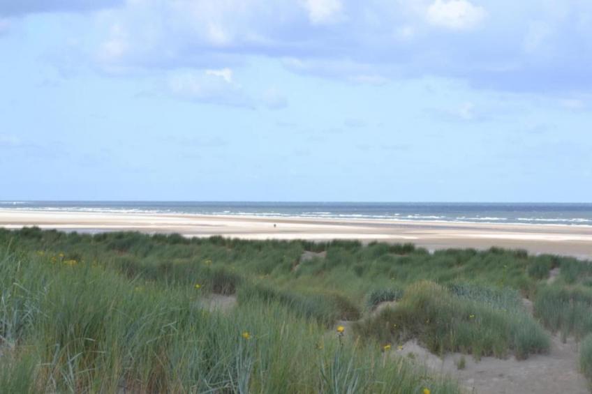 Strandpark Duynhille 5 - foto 33