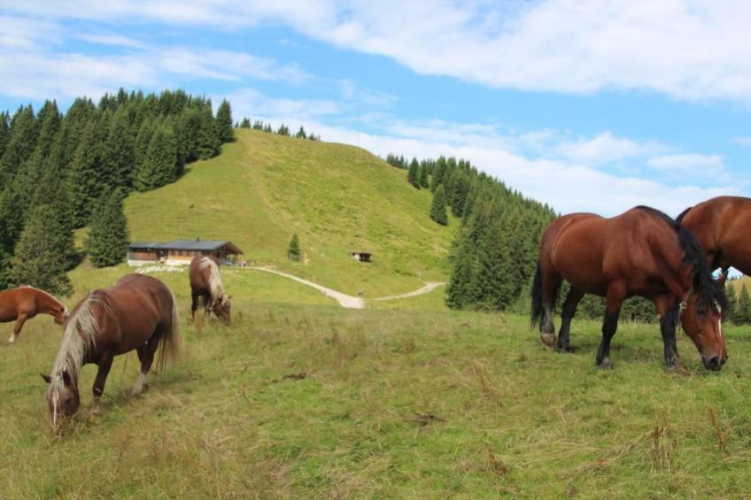 mit Blick auf das Wasser - foto 79