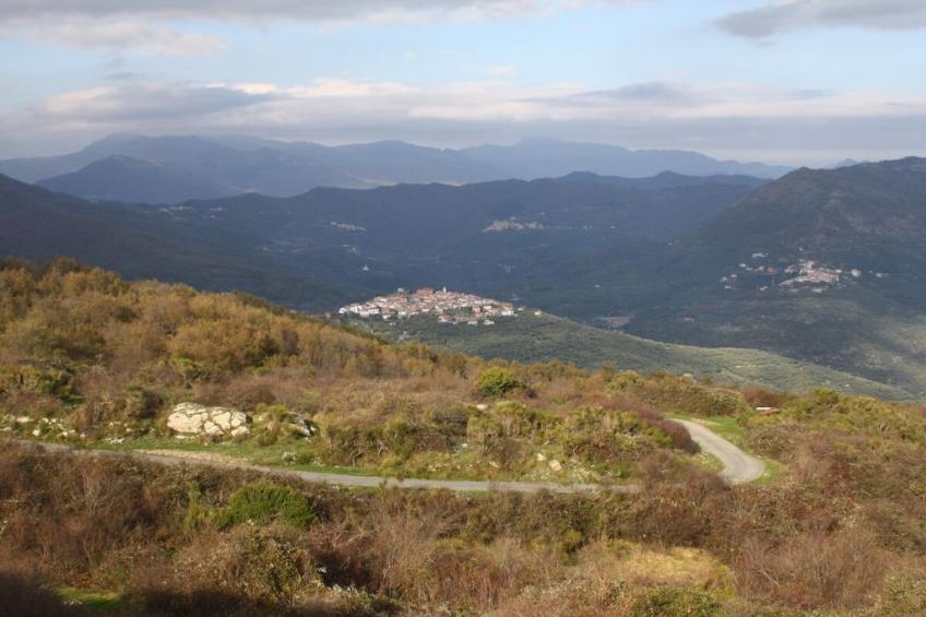 453256 - foto 34