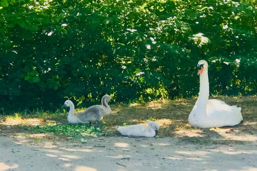 Chez Vous à Uzès - foto 30