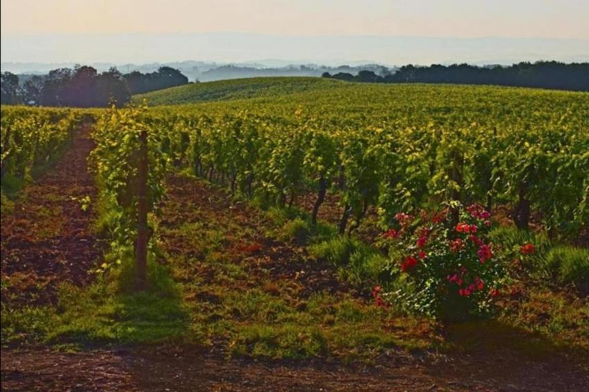 Villino Due - foto 39