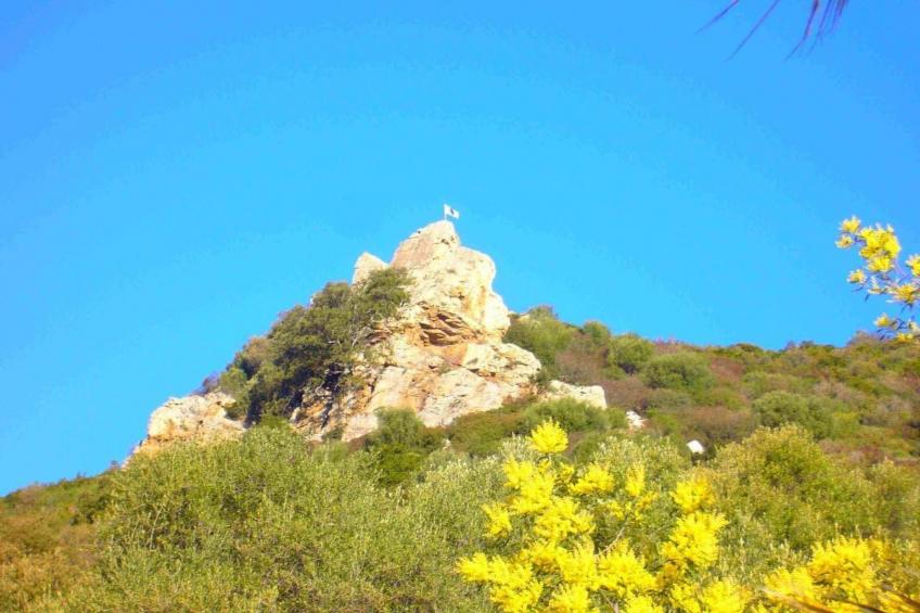 mit Blick auf das Wasser - foto 30